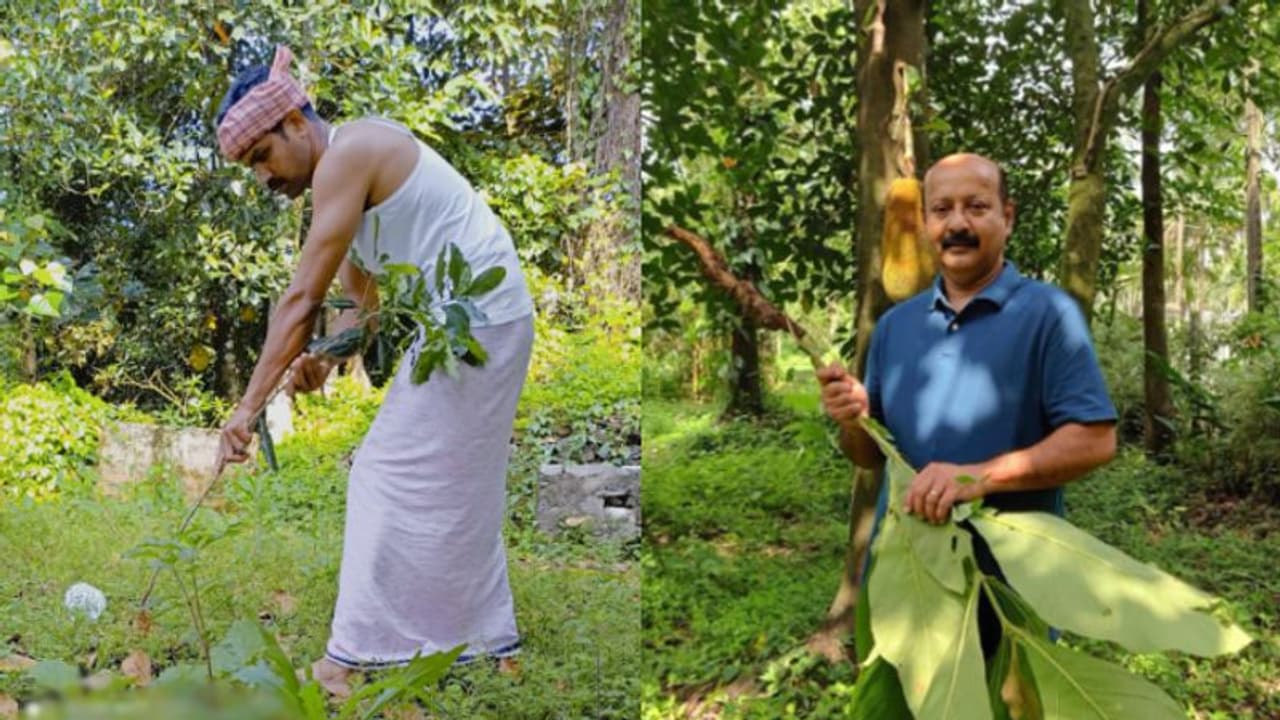 ലോക പരിസ്ഥിതി ദിനത്തിൽ മരത്തൈകൾ പിഴുതെതെറിഞ്ഞ് വേറിട്ട കർഷക പ്രതിഷേധം ലോക പരിസ്ഥിതി ദിനത്തിൽ മരത്തൈകൾ പിഴുതെതെറിഞ്ഞ് വേറിട്ട കർഷക പ്രതിഷേധം