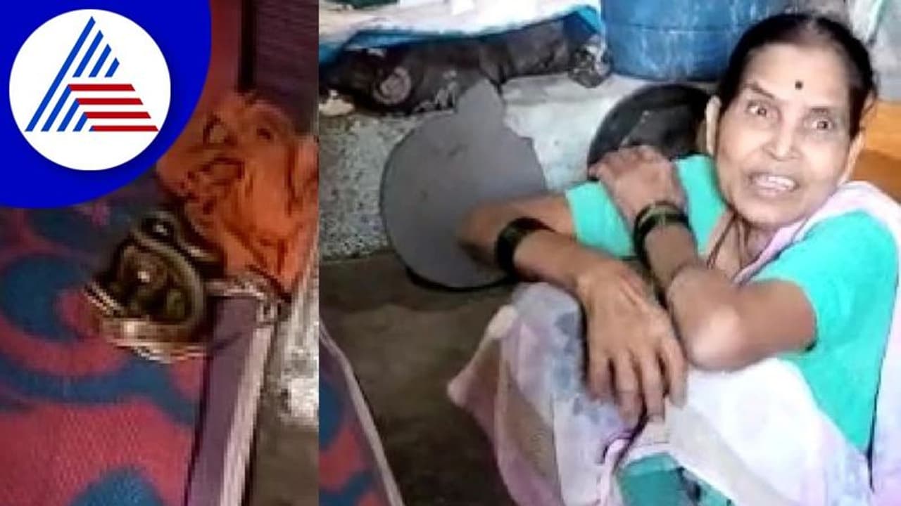 వర్షం పడిన రాత్రి ఇంట్లోకి పాము.. పాలు పోసి ఇంట్లోనే ఉంచుకున్న మహిళ.. ఆమె చెప్పింది వింటే షాకవ్వాల్సిందే..