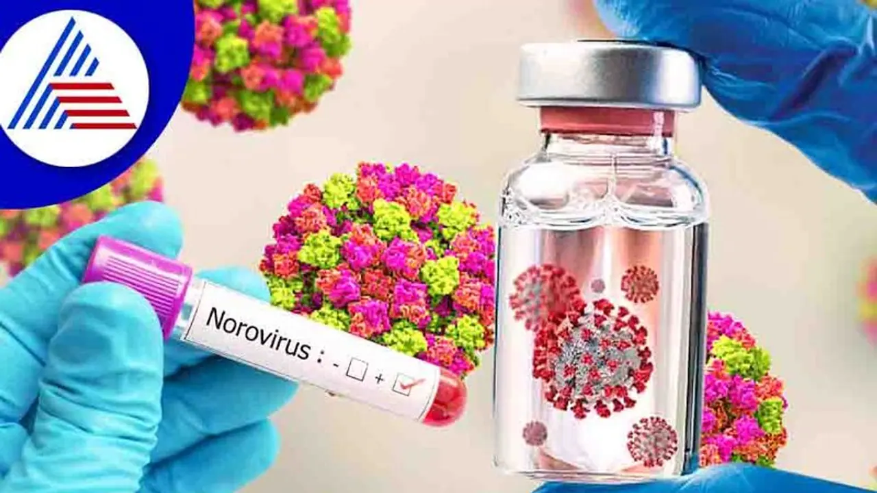 ದೇಶದಲ್ಲಿ ಕೊರೋನಾ ಮಧ್ಯೆನೇ ನೊರೋ ವೈರಸ್ ಆತಂಕ, ಇದು ಕೋವಿಡ್ನಂತೆಯೇ ಮಾರಣಾಂತಿಕವೇ ? ದೇಶದಲ್ಲಿ ಕೊರೋನಾ ಮಧ್ಯೆನೇ ನೊರೋ ವೈರಸ್ ಆತಂಕ, ಇದು ಕೋವಿಡ್ನಂತೆಯೇ ಮಾರಣಾಂತಿಕವೇ ?