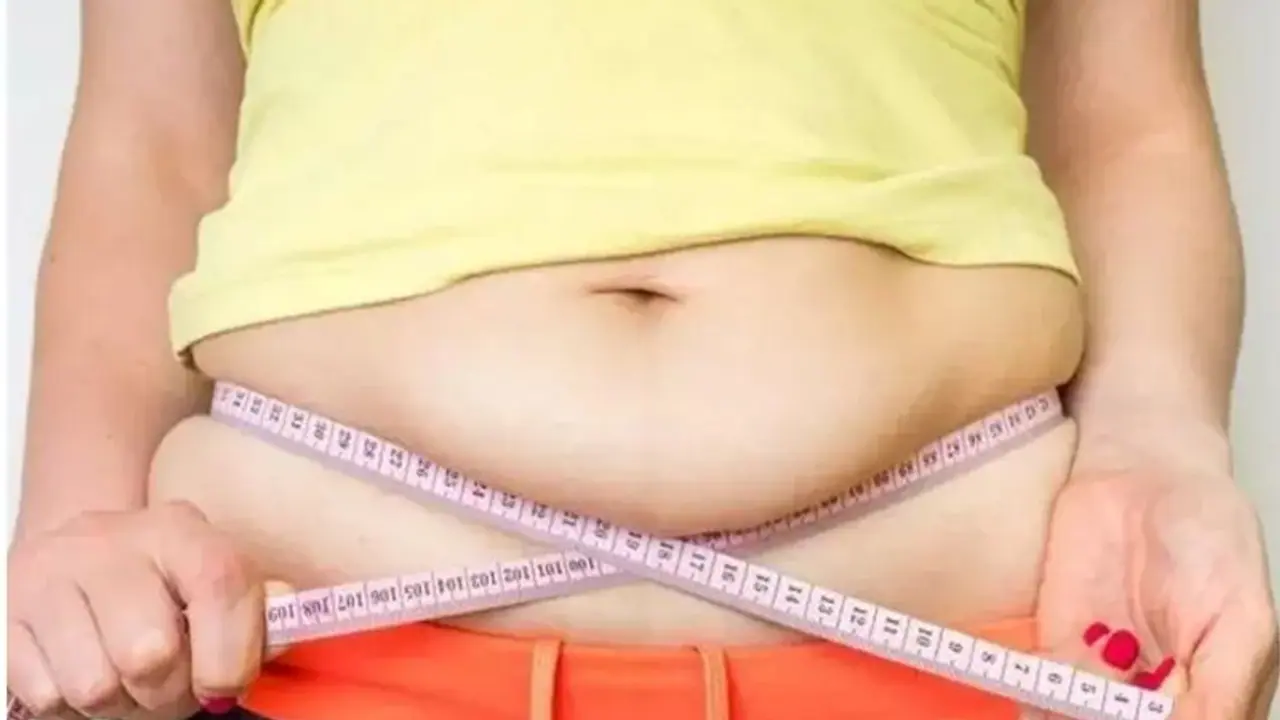 Weight loss tips: உடல் எடை குறைந்து நீங்கள் நலமுடன் வாழ வேண்டுமா? இந்த பத்து கட்டளைகள் பின்பற்றுதல் அவசியம்..