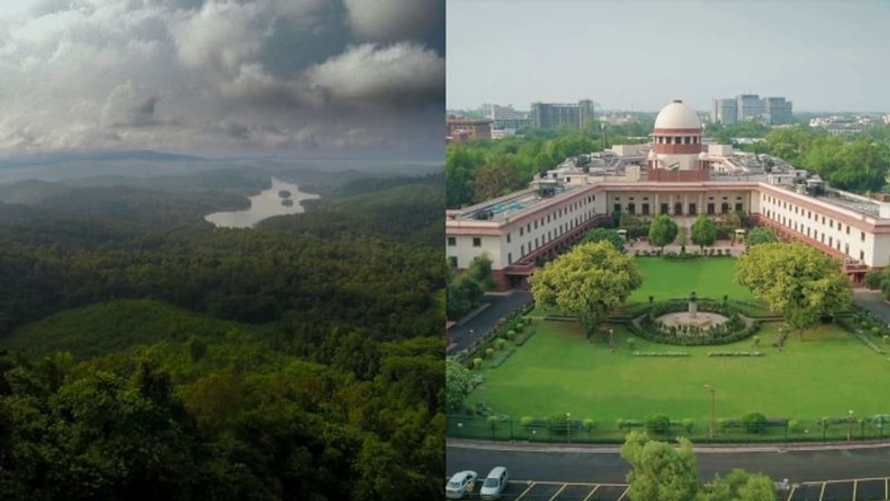 ബഫർ സോൺ ഉത്തരവ്; സംസ്ഥാനത്ത് പ്രതിഷേധം ശക്തം, ബത്തേരിയിൽ ഹർത്താലിന് ആഹ്വാനം ബഫർ സോൺ ഉത്തരവ്; സംസ്ഥാനത്ത് പ്രതിഷേധം ശക്തം, ബത്തേരിയിൽ ഹർത്താലിന് ആഹ്വാനം