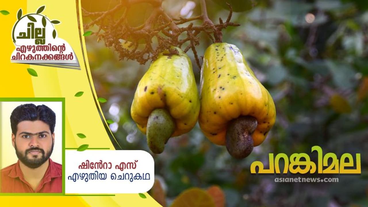 Malayalam Short Story: പറങ്കിമല, ഷിന്റോ എസ് എഴുതിയ ചെറുകഥ Malayalam Short Story: പറങ്കിമല, ഷിന്റോ എസ് എഴുതിയ ചെറുകഥ
