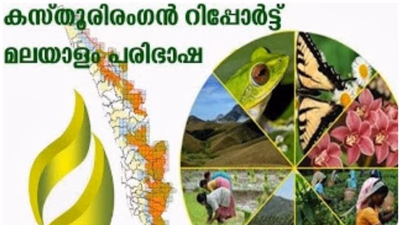 കസ്തൂരിരംഗൻ അന്തിമ വിജ്ഞാപനം വൈകും, പരാതികൾ പഠിക്കാൻ പുതിയ സമിതി കസ്തൂരിരംഗൻ അന്തിമ വിജ്ഞാപനം വൈകും, പരാതികൾ പഠിക്കാൻ പുതിയ സമിതി