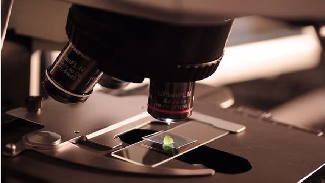 'എൻജിനീയറിങ് വിദ്യാർഥികളേ, ചിപ്പ് ഡിസൈനിൽ താൽപര്യമുണ്ടോ'; സൗജന്യ ത്രിദിന ശില്പ്പശാലയുമായി അസാപ് 'എൻജിനീയറിങ് വിദ്യാർഥികളേ, ചിപ്പ് ഡിസൈനിൽ താൽപര്യമുണ്ടോ'; സൗജന്യ ത്രിദിന ശില്പ്പശാലയുമായി അസാപ്