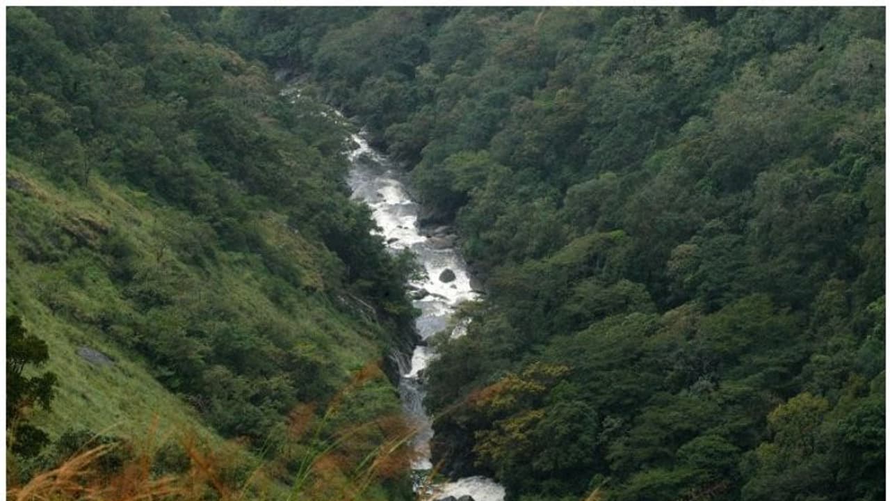  ബഫർസോണിലെ സുപ്രീം കോടതി ഉത്തരവ്; നിയമപരിശോധന തുടങ്ങി കേന്ദ്രം, പുനപരിശോധന ഹർജി നൽകുന്നതിലടക്കം ചർച്ച