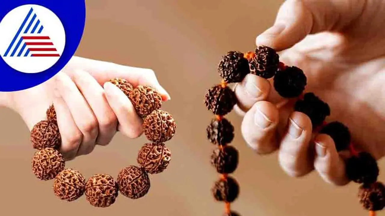 ರುದ್ರಾಕ್ಷಿ ಧರಿಸುವಾಗ ‘ಈ ನಿಯಮ’ ತಪ್ಪಿದರೆ ಶಿವನ ಕೆಂಗಣ್ಣಿಗೆ ಗುರಿಯಾಗುವಿರಿ..!