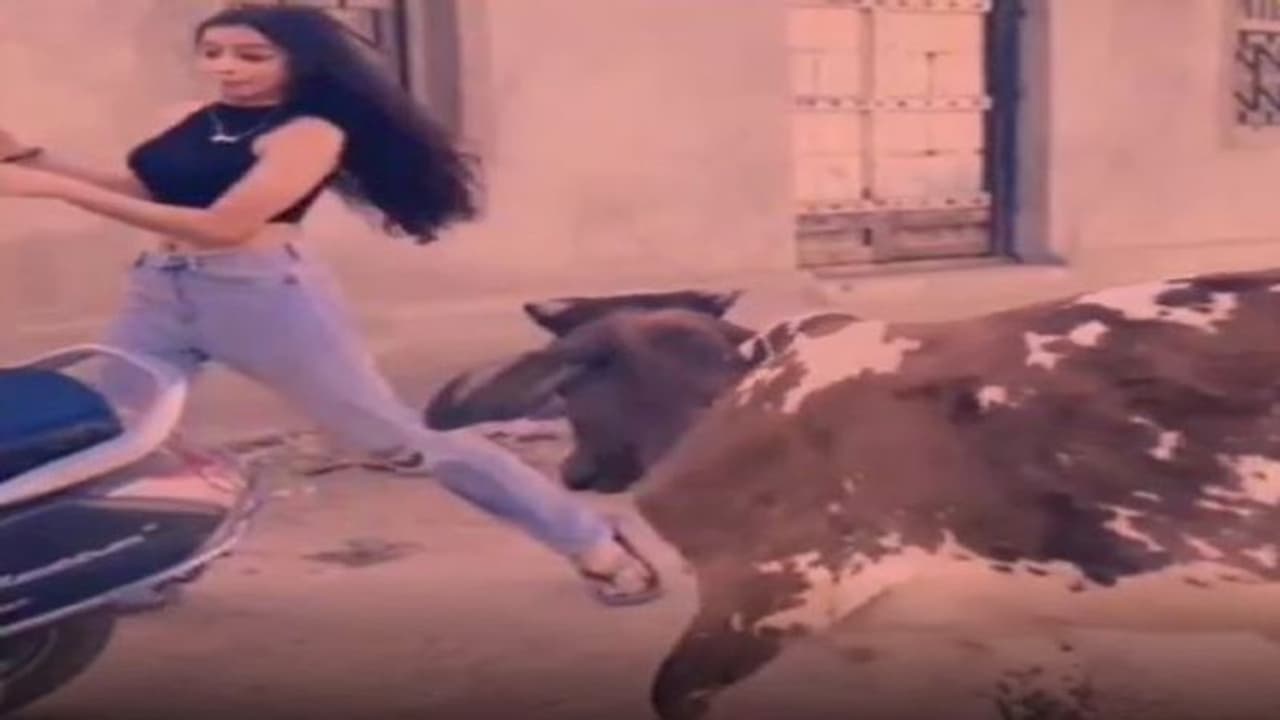 सांड को पसंद नहीं आया सड़क पर खुलेआम लड़की का डांस करना, वायरल वीडियो में देखिए क्या किया उसके साथ सांड को पसंद नहीं आया सड़क पर खुलेआम लड़की का डांस करना, वायरल वीडियो में देखिए क्या किया उसके साथ