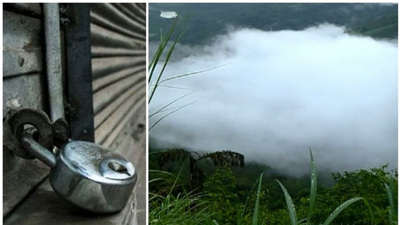 ബഫർ സോൺ ഉത്തരവ്: പ്രതിഷേധിച്ച് നിലമ്പൂരിലും 11 പഞ്ചായത്തുകളിലും യുഡിഎഫ് ഹർത്താൽ