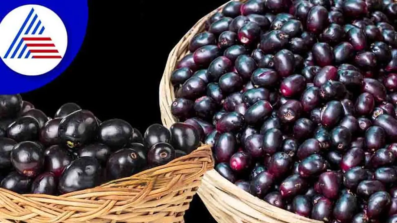 ಬೇಸಿಗೆಯಲ್ಲಿ ಆರೋಗ್ಯ ಚೆನ್ನಾಗಿರಬೇಕಾ? ನೇರಳೆ ತಿನ್ನೋದ ಮರೀಬೇಡಿ ಬೇಸಿಗೆಯಲ್ಲಿ ಆರೋಗ್ಯ ಚೆನ್ನಾಗಿರಬೇಕಾ? ನೇರಳೆ ತಿನ್ನೋದ ಮರೀಬೇಡಿ