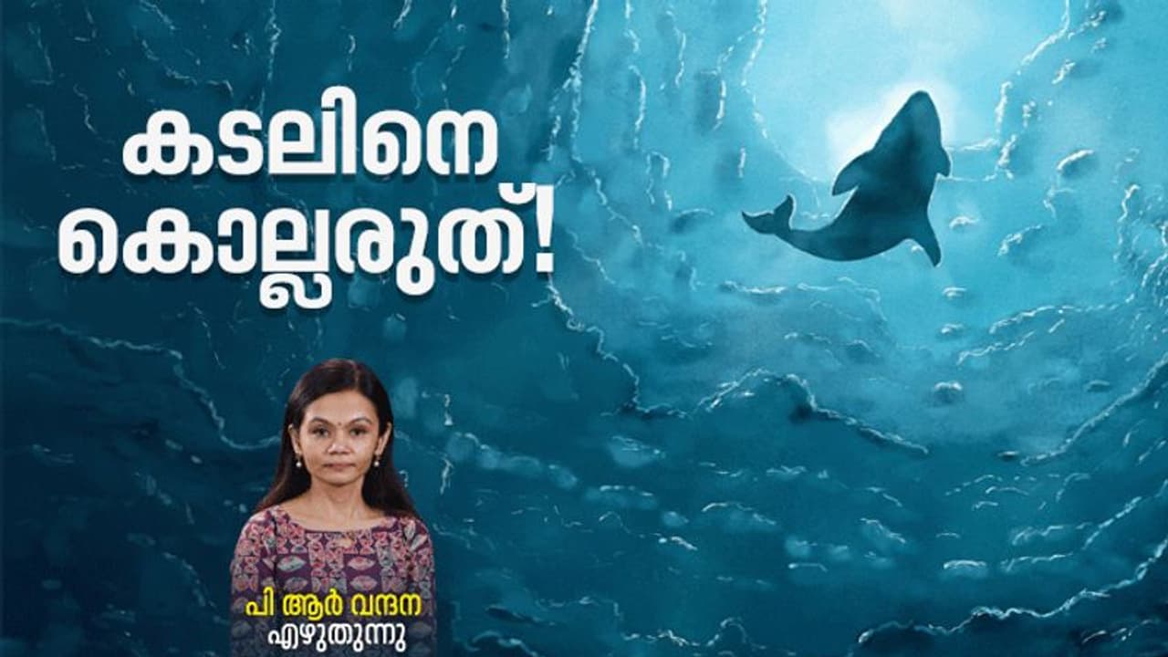 World Oceans Day 2022 : ചെമ്മീന്റെ ഹൃദയം എവിടെയാണ്, നീലത്തിമിംഗലത്തിന്റെ നാക്കിന്റെ ഭാരമറിയാമോ? World Oceans Day 2022 : ചെമ്മീന്റെ ഹൃദയം എവിടെയാണ്, നീലത്തിമിംഗലത്തിന്റെ നാക്കിന്റെ ഭാരമറിയാമോ?