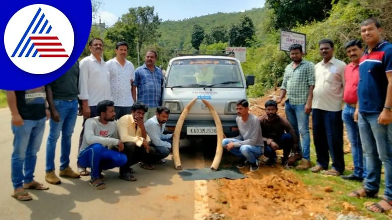 Chikkamagaluru: ಆನೆದಂತ ಮಾರಾಟ ಮಾಡಲು ಯತ್ನ: ಐವರ ಬಂಧನ