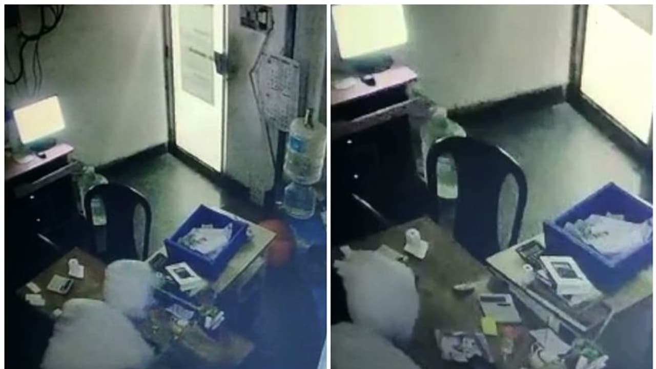 എറണാകുളത്തും പെട്രോൾ പമ്പിൽ വൻ മോഷണം, ഒന്നരലക്ഷവും മൊബൈലും കവർന്നു എറണാകുളത്തും പെട്രോൾ പമ്പിൽ വൻ മോഷണം, ഒന്നരലക്ഷവും മൊബൈലും കവർന്നു