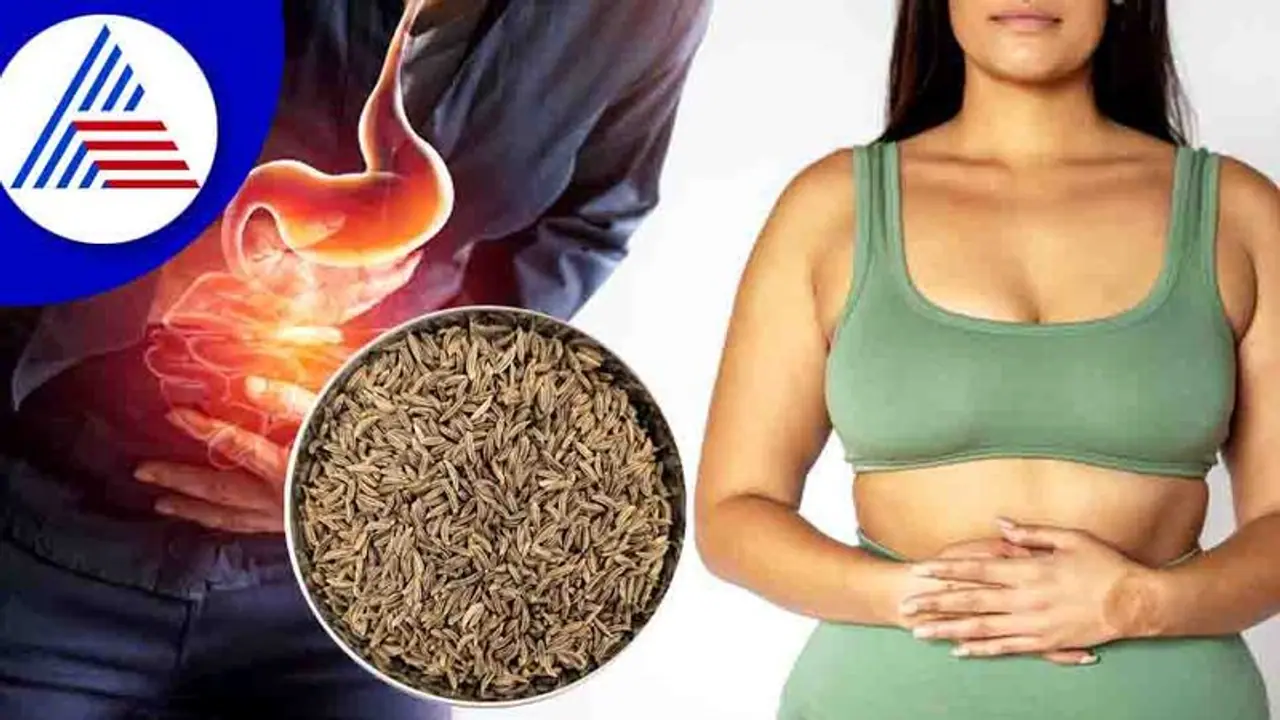 Gastric problem: செரிமானம் ஆகாமல் வயிற்றில் கேஸ் சேருவதை தவிர்க்கும்...5 எளிய வீட்டு வைத்திய குறிப்புகள்... Gastric problem: செரிமானம் ஆகாமல் வயிற்றில் கேஸ் சேருவதை தவிர்க்கும்...5 எளிய வீட்டு வைத்திய குறிப்புகள்...