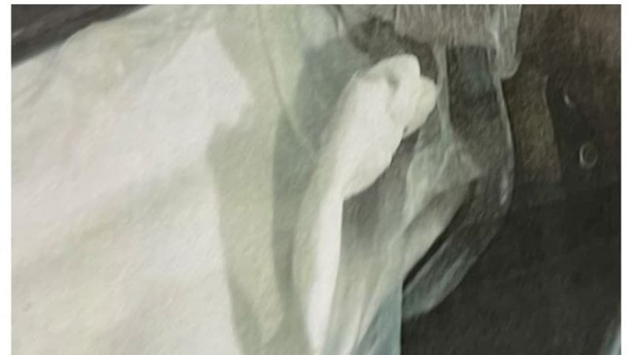 വന്‍തുകയുടെ മയക്കുമരുന്നുമായി ബഹ്റൈന്‍ വിമാനത്താവളത്തില്‍ പിടിയിലായ പ്രവാസിയുടെ വിചാരണ തുടങ്ങി