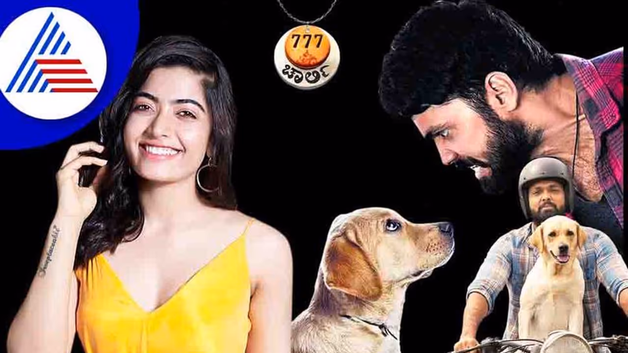 ರಶ್ಮಿಕಾಗಿಂತ ನಾಯಿಗೆ ನಿಯತ್ತು, ಪ್ರೀತಿ ಜಾಸ್ತಿ ಅಂತ ತೋರಿಸಲು ರಕ್ಷಿತ್ ಶೆಟ್ಟಿ 777 ಚಾರ್ಲಿ ಮಾಡಿದ್ರಾ?