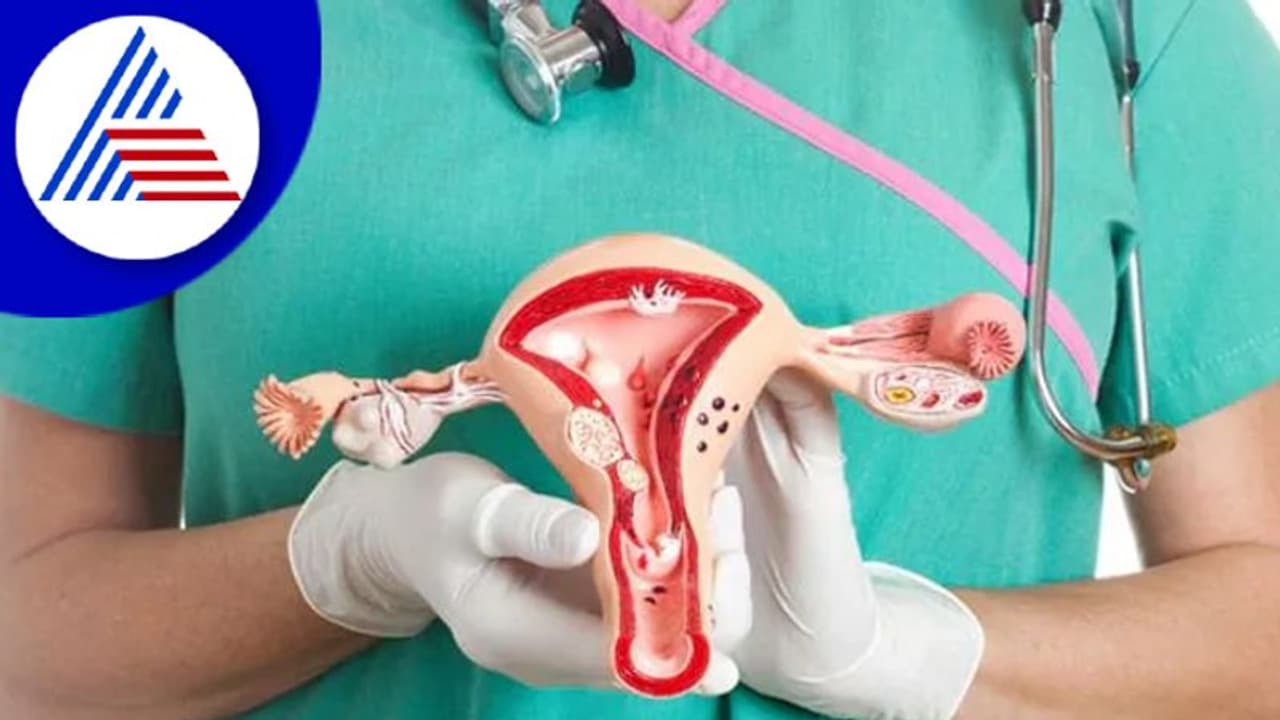 ಗರ್ಭಕಂಠ ಕ್ಯಾನ್ಸರ್ಗೆ ಸಿದ್ಧವಾಗಿದೆ ಮೊದಲ ದೇಸೀ ಲಸಿಕೆ ಗರ್ಭಕಂಠ ಕ್ಯಾನ್ಸರ್ಗೆ ಸಿದ್ಧವಾಗಿದೆ ಮೊದಲ ದೇಸೀ ಲಸಿಕೆ