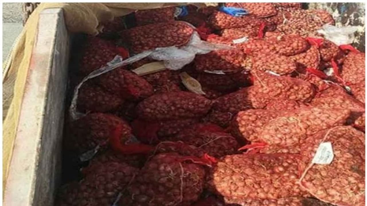 ലൈസന്സില്ലാതെ പ്രവര്ത്തിച്ച സ്റ്റാേര് ഹൗസില് കണ്ടെത്തിയത് 1,400 കിലോ പഴകിയ ഉള്ളി ലൈസന്സില്ലാതെ പ്രവര്ത്തിച്ച സ്റ്റാേര് ഹൗസില് കണ്ടെത്തിയത് 1,400 കിലോ പഴകിയ ഉള്ളി