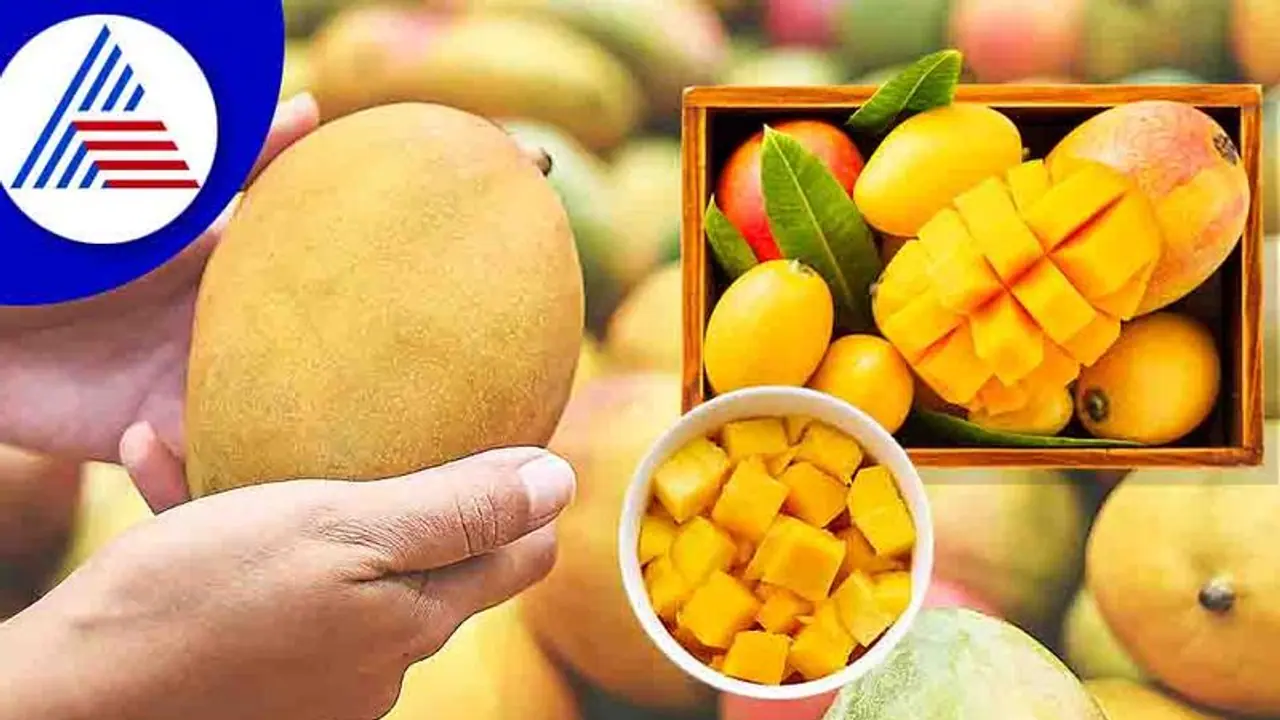 கர்ப்பத்தின் முதல் மூன்று மாதங்களில் மாம்பழம் சாப்பிடலாமா? அது உங்களுக்கும் உங்கள் குழந்தைக்கும் பாதுகாப்பானதா