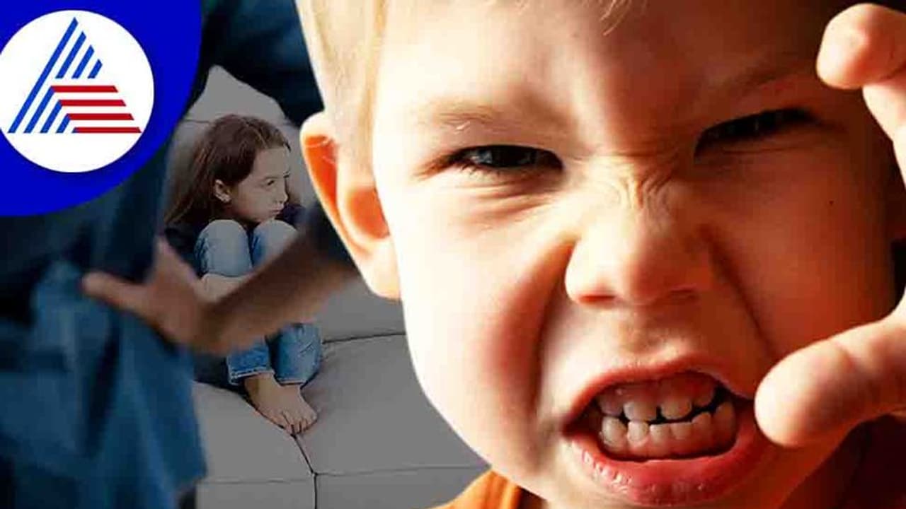 Violent Behaviour: ಮಗುವಿನಲ್ಲಿ ಹಿಂಸಾ ಪ್ರವೃತ್ತಿ ಇದ್ದರ, ಇಗ್ನೋರ್ ಮಾಡ್ಲೇ ಬೇಡಿ!