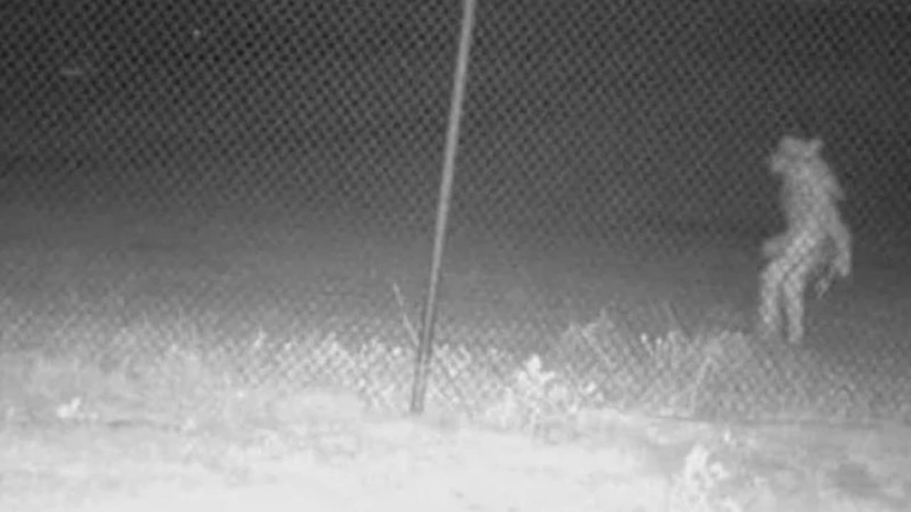 ಸಿಸಿ ಕ್ಯಾಮರಾದಲ್ಲಿ ಸೆರೆಯಾದ ವಿಚಿತ್ರ ಆಕೃತಿ ನೋಡಿ ಭಯಗೊಂಡ ಅಧಿಕಾರಿಗಳು