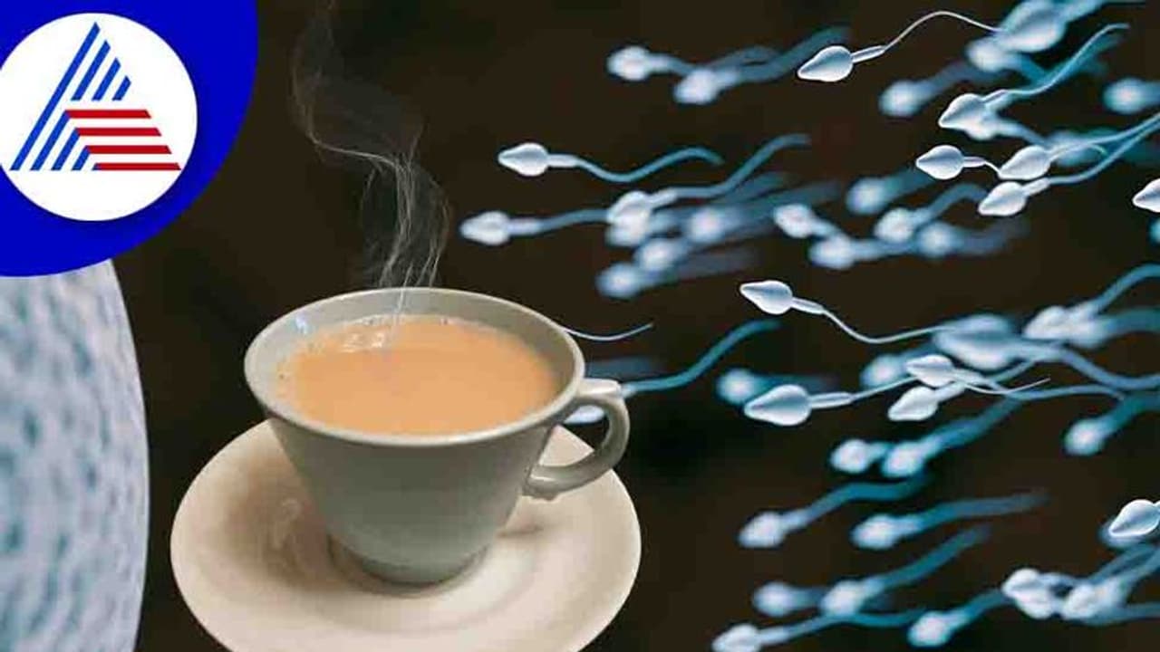 ಚಹಾ ಸೇವನೆಯ ಅಭ್ಯಾಸವಿರುವ ಪುರುಷರನ್ನು ಕಾಡ್ತಿದೆ ಬಂಜೆತನದ ಸಮಸ್ಯೆ ! ಚಹಾ ಸೇವನೆಯ ಅಭ್ಯಾಸವಿರುವ ಪುರುಷರನ್ನು ಕಾಡ್ತಿದೆ ಬಂಜೆತನದ ಸಮಸ್ಯೆ !