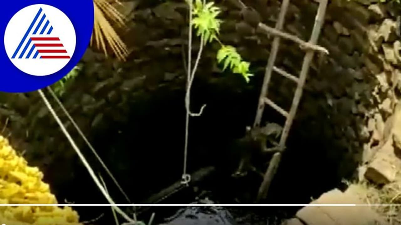 ಆಗಾಗ ಬಾವಿಗೆ ಬಿಳೋ ಚಿರತೆಗಳು: ನಿನ್ನೆ ಮಂಚ ಕಳ್ಸಿದ್ರು ಇವತ್ತು ಏಣಿ ಇಳ್ಸಿದ್ರು