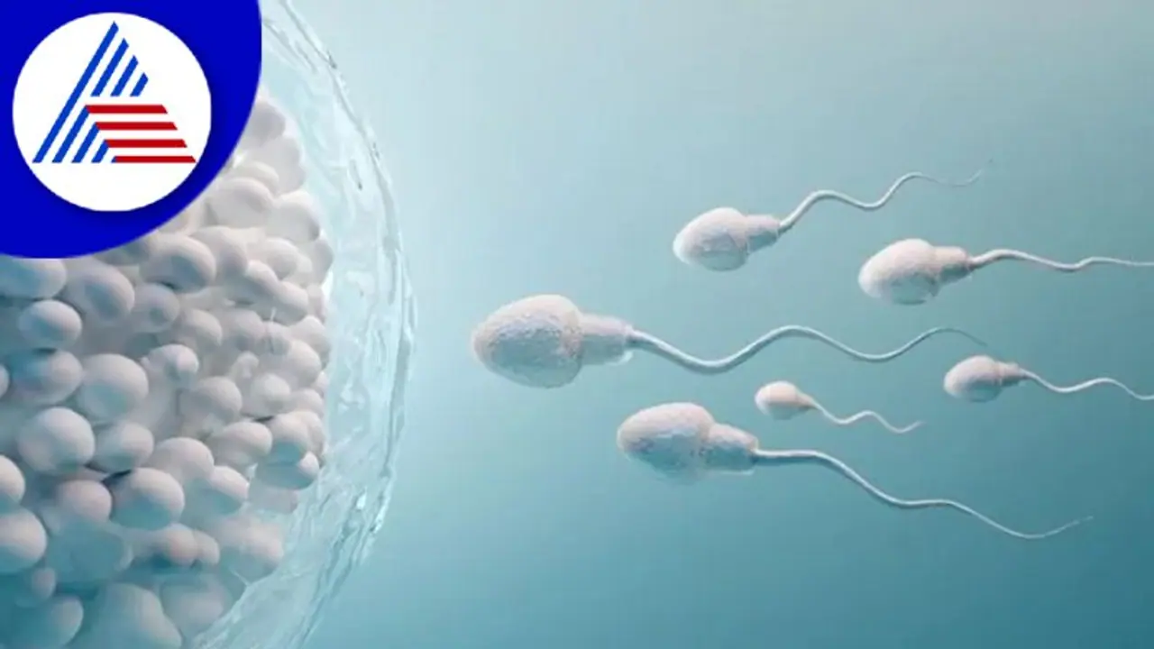 రసాయనిక కాలుష్య కాలకాల వల్ల క్షీణిస్తున్న స్పెర్ప్ నాణ్యత..!