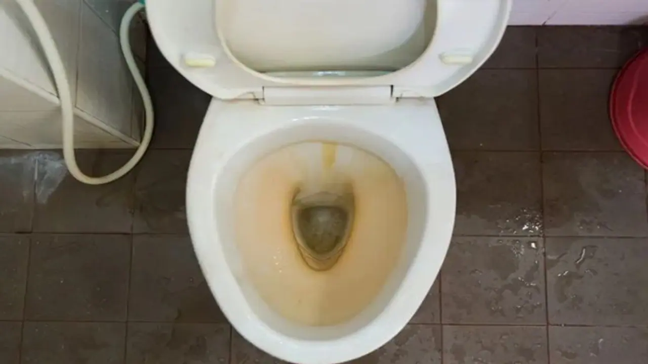 విద్యార్థులతో మూత్రశాలలు కడిగించిన ప్రధానోపాధ్యాయురాలు.. కృష్ణా జిల్లా గుడివాడలో ఘటన విద్యార్థులతో మూత్రశాలలు కడిగించిన ప్రధానోపాధ్యాయురాలు.. కృష్ణా జిల్లా గుడివాడలో ఘటన