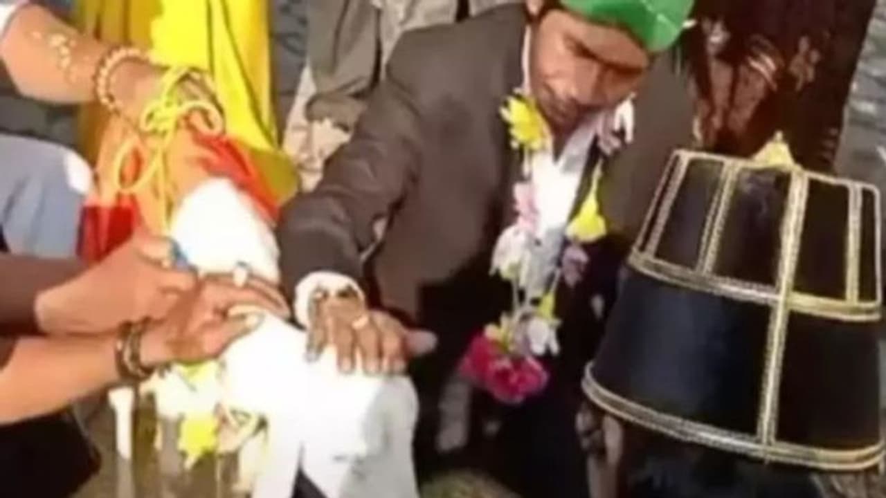 44 साल के सैफुल ने बकरी से की शादी, दहेज में दिए 117 रुपए, बवाल बढ़ा तो दे दिया तलाक 44 साल के सैफुल ने बकरी से की शादी, दहेज में दिए 117 रुपए, बवाल बढ़ा तो दे दिया तलाक