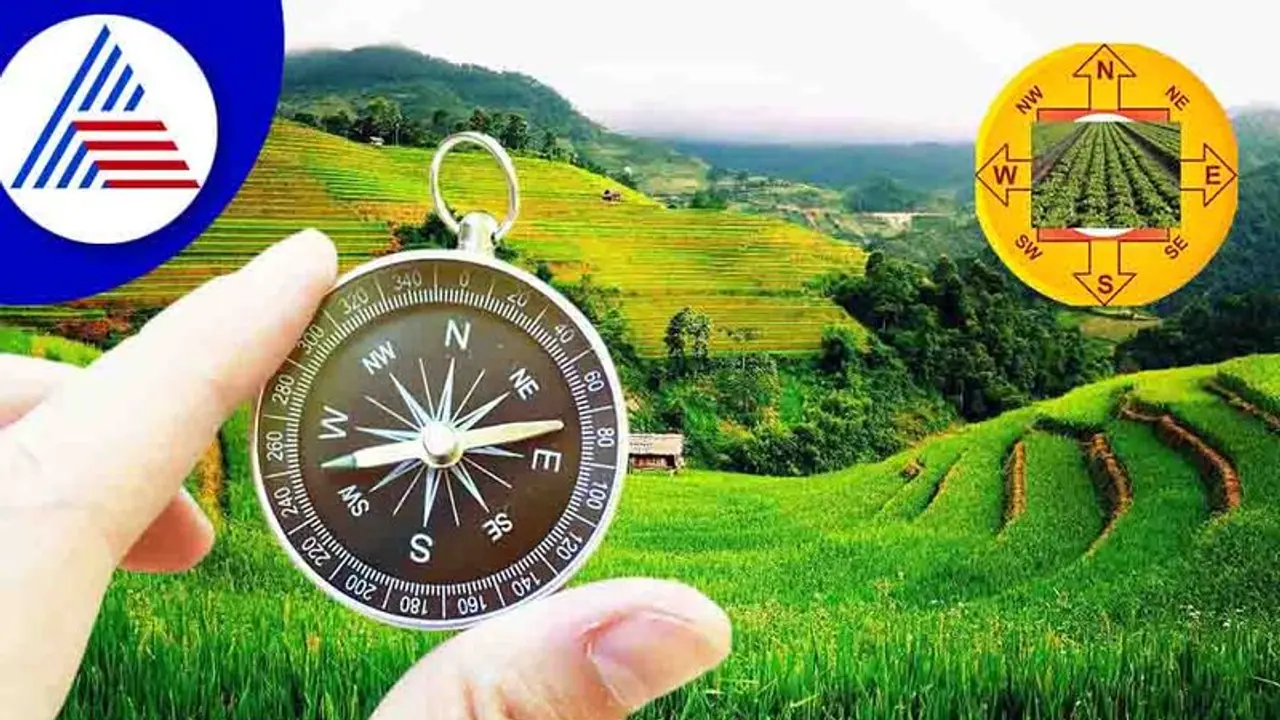 Vastu Tips: ಈ ಆಕಾರದ ಭೂಮಿ ಖರೀದಿಸಿದ್ರೆ ಲೈಫ್ ಬರ್ಬಾದ್ ಆಗೋದು ಗ್ಯಾರಂಟಿ!