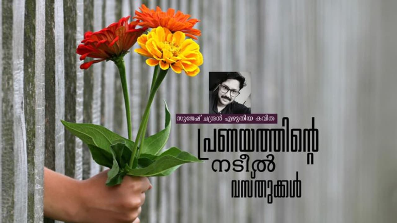 Malayalam Poem: പ്രണയത്തിന്റെ നടീല് വസ്തുക്കള്, സുജേഷ് ചന്ദ്രന് എഴുതിയ കവിത Malayalam Poem: പ്രണയത്തിന്റെ നടീല് വസ്തുക്കള്, സുജേഷ് ചന്ദ്രന് എഴുതിയ കവിത