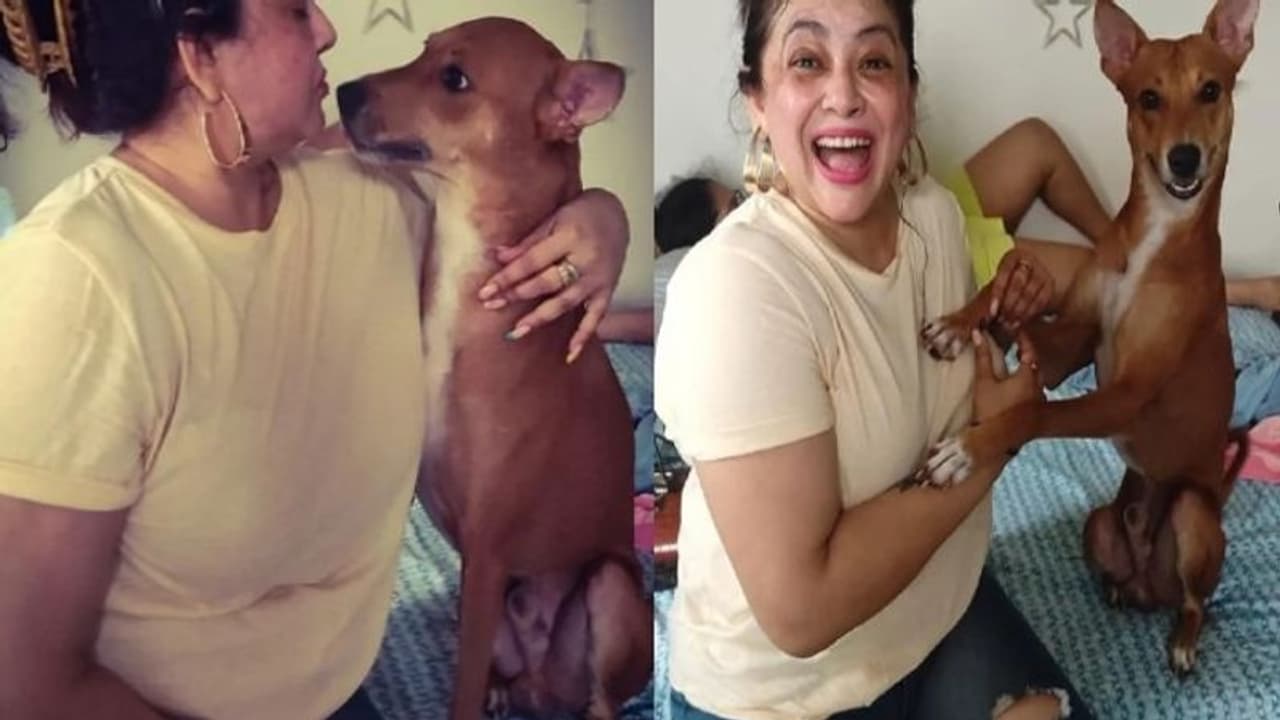 'মানুষের চেয়ে আমার পোষ্যরা অনেক ভালো', সোশ্যাল মিডিয়ায় মন্তব্য শ্রীলেখার 'মানুষের চেয়ে আমার পোষ্যরা অনেক ভালো', সোশ্যাল মিডিয়ায় মন্তব্য শ্রীলেখার