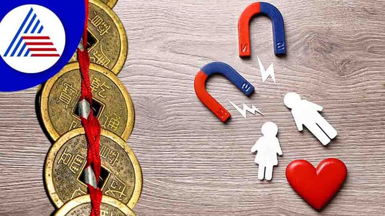 ಪ್ರೀತಿಯನ್ನು ಆಕರ್ಷಿಸುವುದು ಹೇಗೆ? ಫೆಂಗ್ ಶುಯ್‌ನಲ್ಲಿ ಟ್ರಿಕ್ಸ್ ಇವೆ!