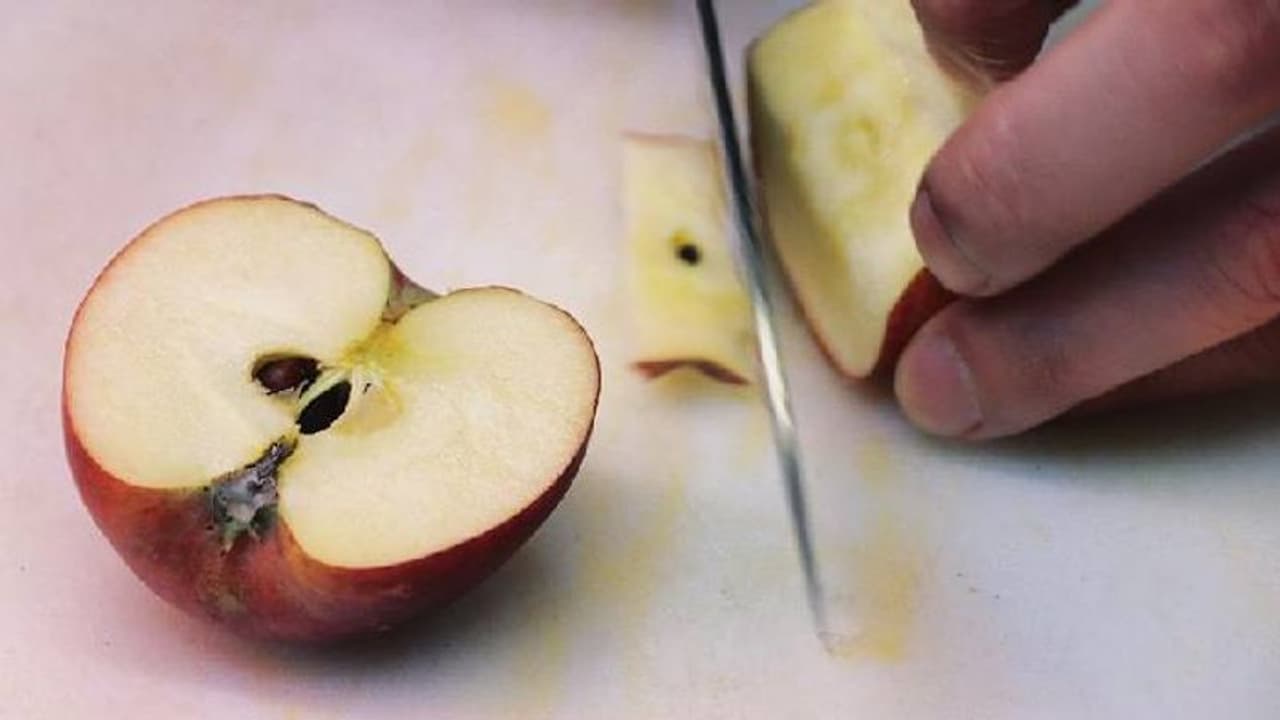 'ആപ്പിൾകറി'യെ ഇന്ത്യയുടെ ദേശീയവിഭവമാക്കി പാചകപുസ്തകം, പൊട്ടിത്തെറിച്ച് ആളുകൾ 'ആപ്പിൾകറി'യെ ഇന്ത്യയുടെ ദേശീയവിഭവമാക്കി പാചകപുസ്തകം, പൊട്ടിത്തെറിച്ച് ആളുകൾ