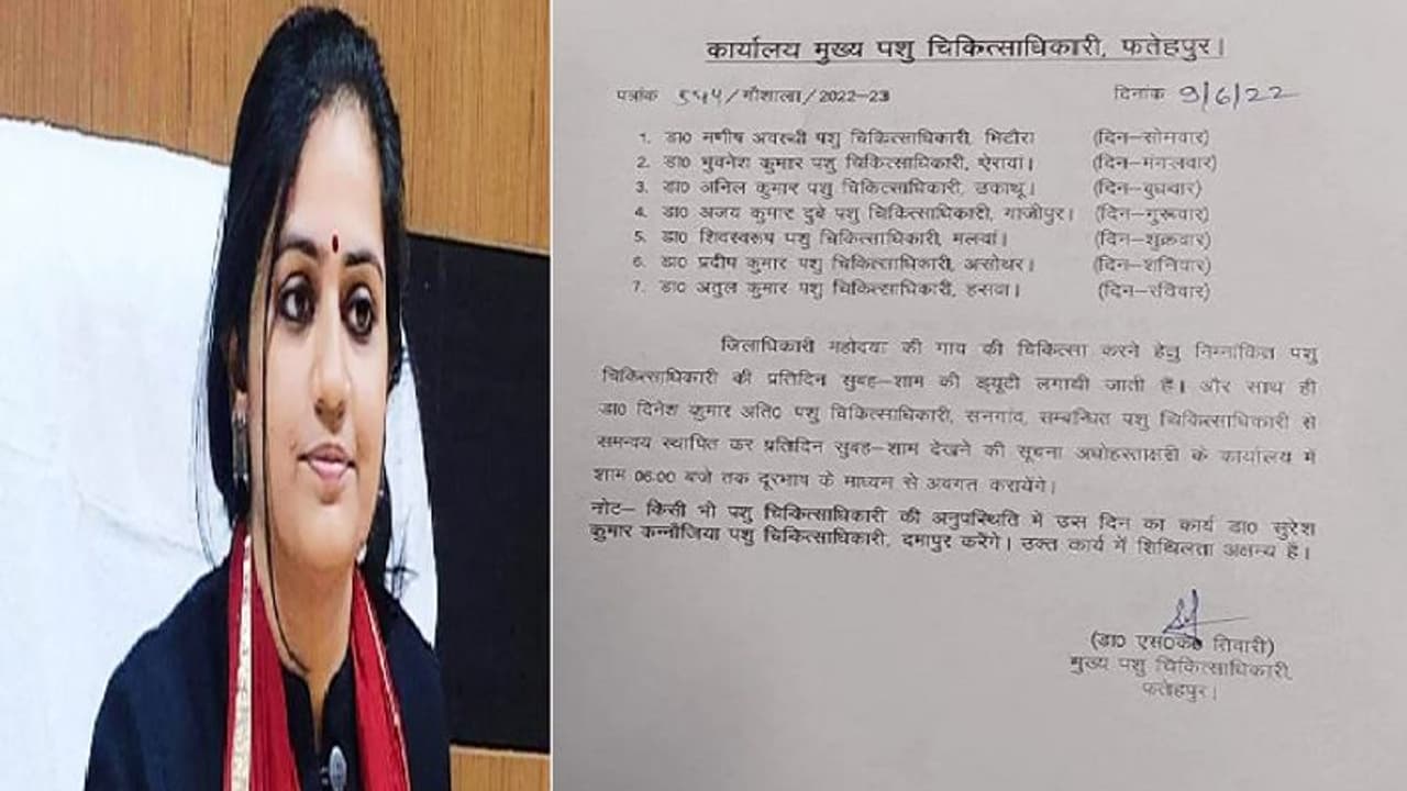 अधिकारियों में दिख रहा राजशाही अंदाज, फतेहपुर डीएम ने अपनी गाय की देख रेख के लिए लगाई 7 डॉक्टरों की ड्यूटी अधिकारियों में दिख रहा राजशाही अंदाज, फतेहपुर डीएम ने अपनी गाय की देख रेख के लिए लगाई 7 डॉक्टरों की ड्यूटी