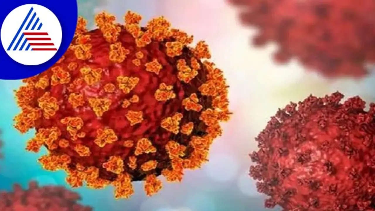 Coronavirus: తెలంగాణలో క్రమంగా పెరుగుతున్న కరోనా.. కొత్తగా ఎన్ని కేసులు నమోదయ్యాయంటే..? Coronavirus: తెలంగాణలో క్రమంగా పెరుగుతున్న కరోనా.. కొత్తగా ఎన్ని కేసులు నమోదయ్యాయంటే..?