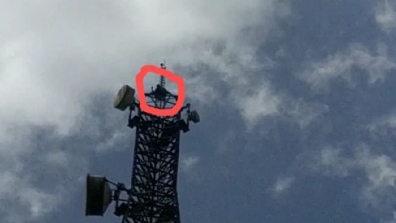 സുൽത്താൻ ബത്തേരിയിൽ നാടകീയ സംഭവങ്ങൾ; മൊബൈൽ ടവറിൽ കയറിയ യുവാവ് ആത്മഹത്യാ ഭീഷണി മുഴക്കി