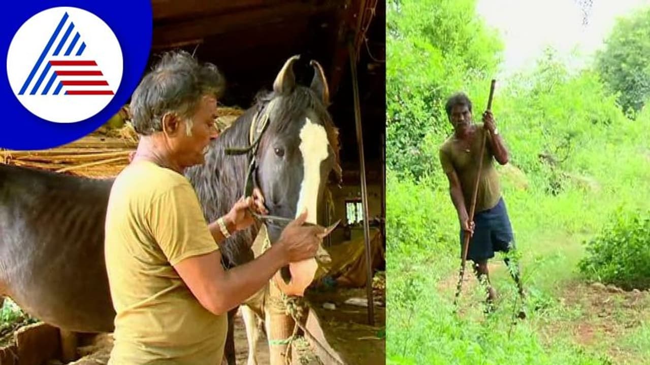 Chitradurga: ಅಂಗವಿಕಲ ವ್ಯಕ್ತಿಯ ಕೃಷಿ ಸಾಧನೆಗೆ ಶಹಬ್ಬಾಶ್ ಎಂದ ಜನರು!