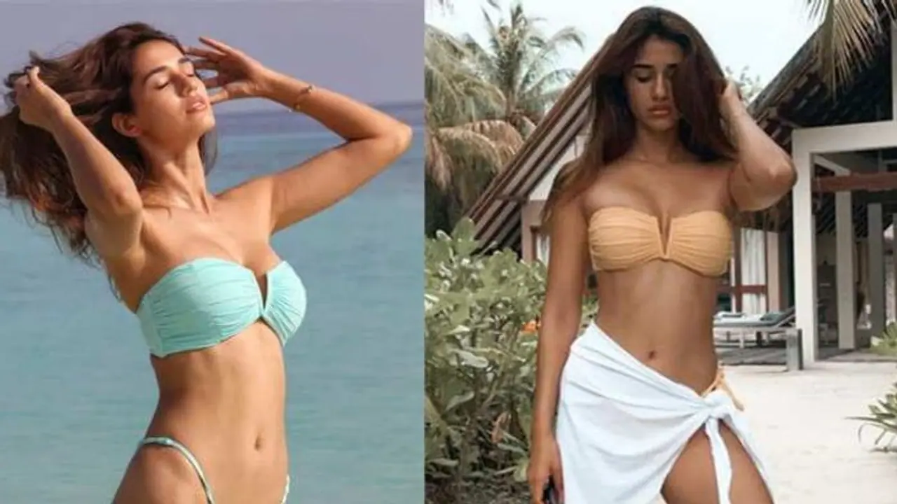 आखिर क्यों बोल्ड सेक्सी दिशा पाटनी से दूर भागते थे लड़के, क्यों कभी किसी ने नहीं कहा हॉट, खुद बताई वजह आखिर क्यों बोल्ड सेक्सी दिशा पाटनी से दूर भागते थे लड़के, क्यों कभी किसी ने नहीं कहा हॉट, खुद बताई वजह