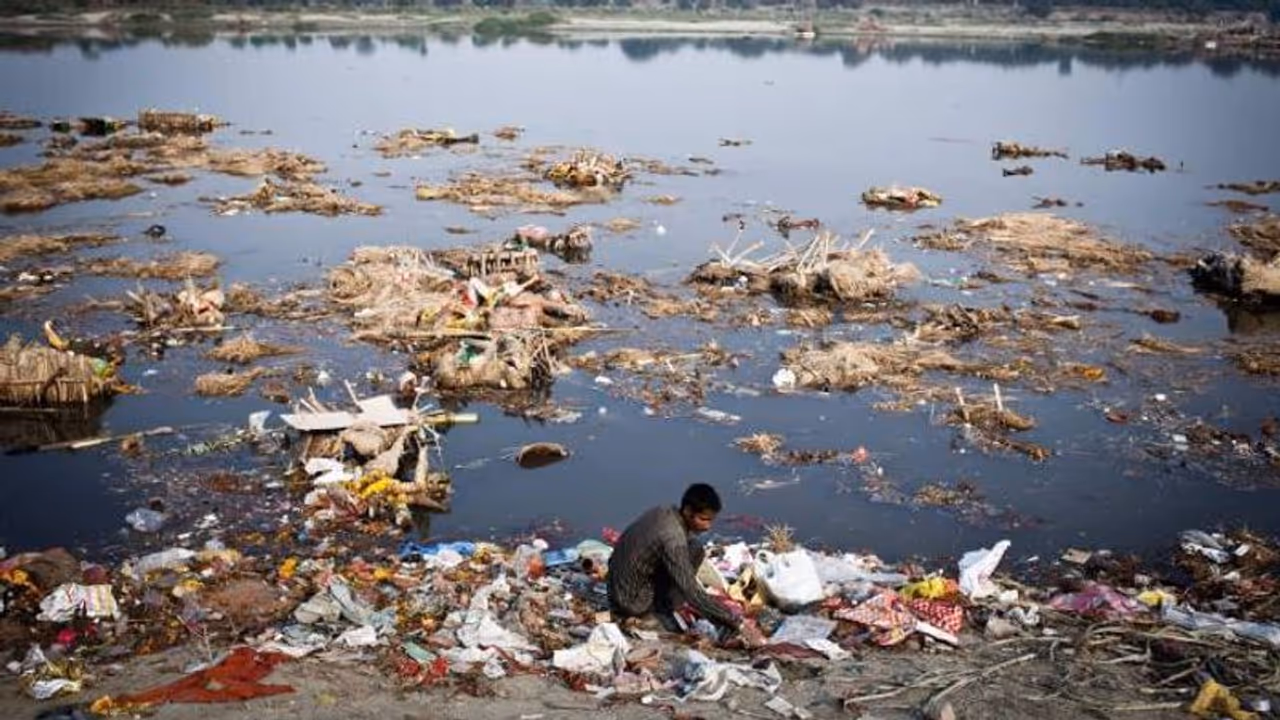 അയൽക്കാർ തമ്മിൽ തർക്കം, ഇരുകക്ഷികളും യമുനാ നദി വൃത്തിയാക്കാൻ വിധിച്ച് കോടതി അയൽക്കാർ തമ്മിൽ തർക്കം, ഇരുകക്ഷികളും യമുനാ നദി വൃത്തിയാക്കാൻ വിധിച്ച് കോടതി