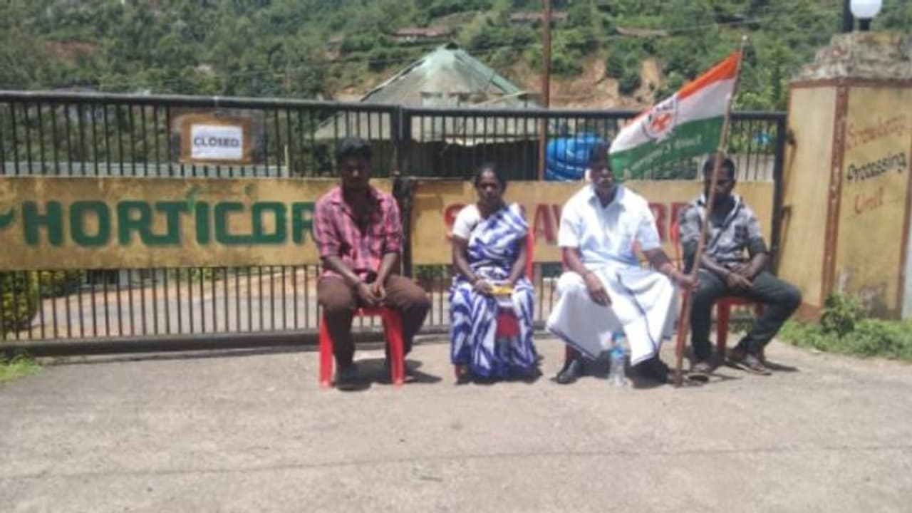 സംഭരിച്ച 5040 കിലോ പച്ചക്കറിയുടെ വില നൽകിയില്ല, ഹോട്ടിക്കോർപ്പിന് മുന്നിൽ സമരവുമായി കർഷകനും കുടുംബവും 