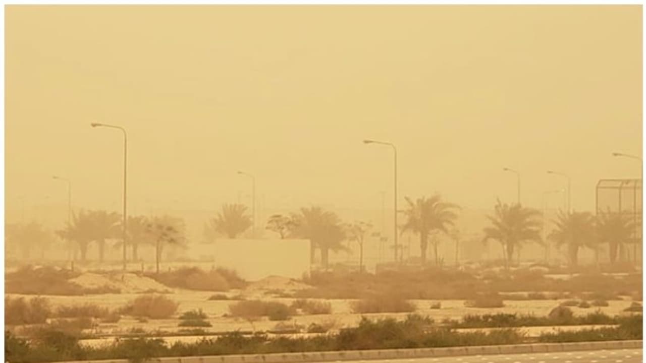 Dust Storm : സൗദി അറേബ്യയുടെ വിവിധ ഭാഗങ്ങളില് പൊടിക്കാറ്റിന് സാധ്യതയെന്ന് അധികൃതര് Dust Storm : സൗദി അറേബ്യയുടെ വിവിധ ഭാഗങ്ങളില് പൊടിക്കാറ്റിന് സാധ്യതയെന്ന് അധികൃതര്
