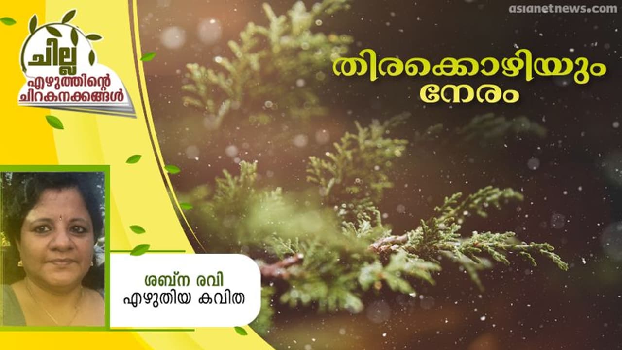Malayalam Poem: തിരക്കൊഴിയുംനേരം, ശബ്‌ന രവി എഴുതിയ കവിത