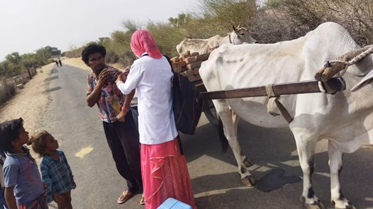 corona virus: कई दिनों बाद संक्रमण को लेकर राहत, घटकर 6500 हुए केस, वैक्सीनेशन 195.35 करोड़ पार corona virus: कई दिनों बाद संक्रमण को लेकर राहत, घटकर 6500 हुए केस, वैक्सीनेशन 195.35 करोड़ पार