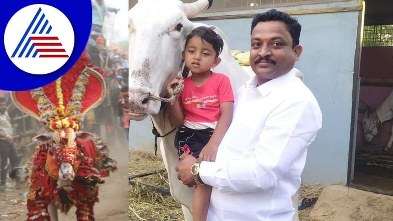 ದಾಖಲೆಯ ಭಾರಿ ಮೊತ್ತಕ್ಕೆ ಚಾಮುಂಡಿ ಎಕ್ಸ್‌ಪ್ರೆಸ್ ಹೋರಿ ಖರೀದಿಸಿದ ಪ್ರಸನ್ನ ಕುಮಾರ್ 