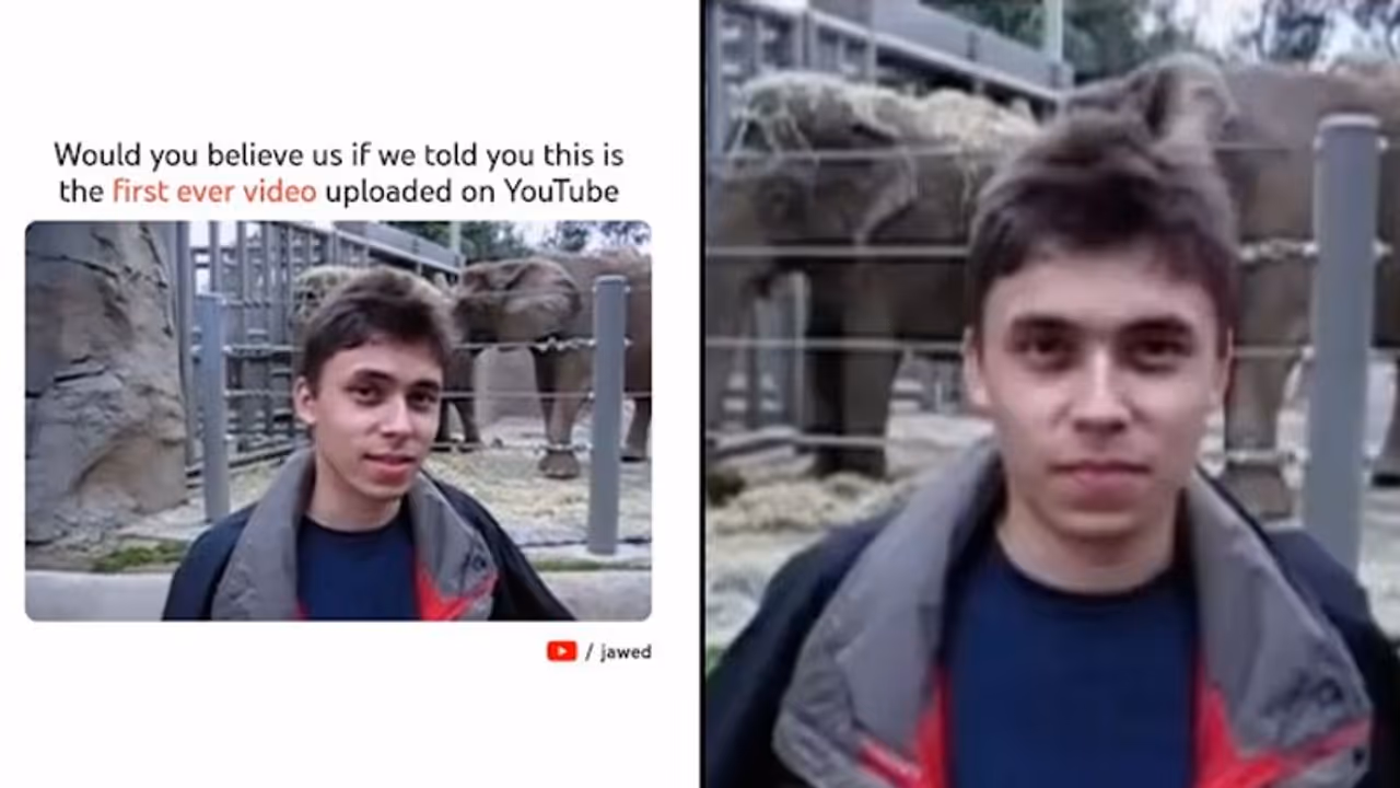YouTube shares first ever video uploaded 17 years ago; Watch video YouTube shares first ever video uploaded 17 years ago; Watch video