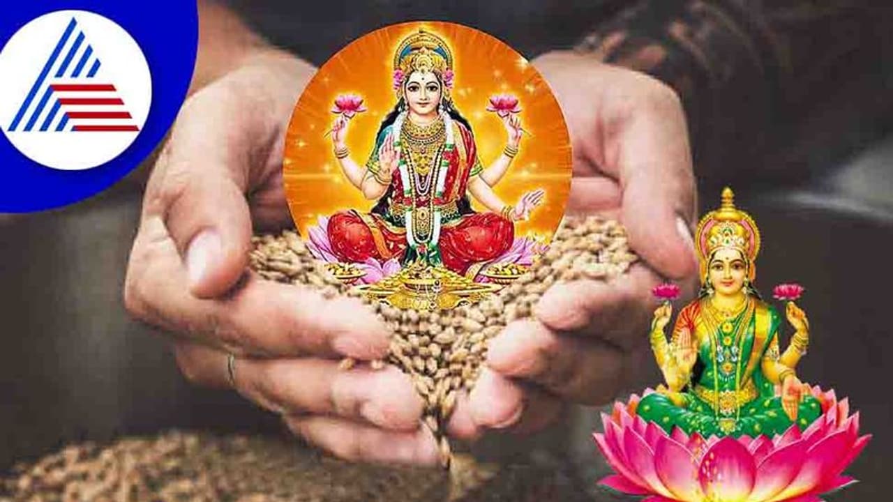 ಬಾರ್ಲಿಯನ್ನು ಹೀಗೆ ಬಳಸಿದರೆ ಮನೆಯಲ್ಲಿ ಧನಧಾನ್ಯಕ್ಕಿರದು ಕೊರತೆ! ಬಾರ್ಲಿಯನ್ನು ಹೀಗೆ ಬಳಸಿದರೆ ಮನೆಯಲ್ಲಿ ಧನಧಾನ್ಯಕ್ಕಿರದು ಕೊರತೆ!