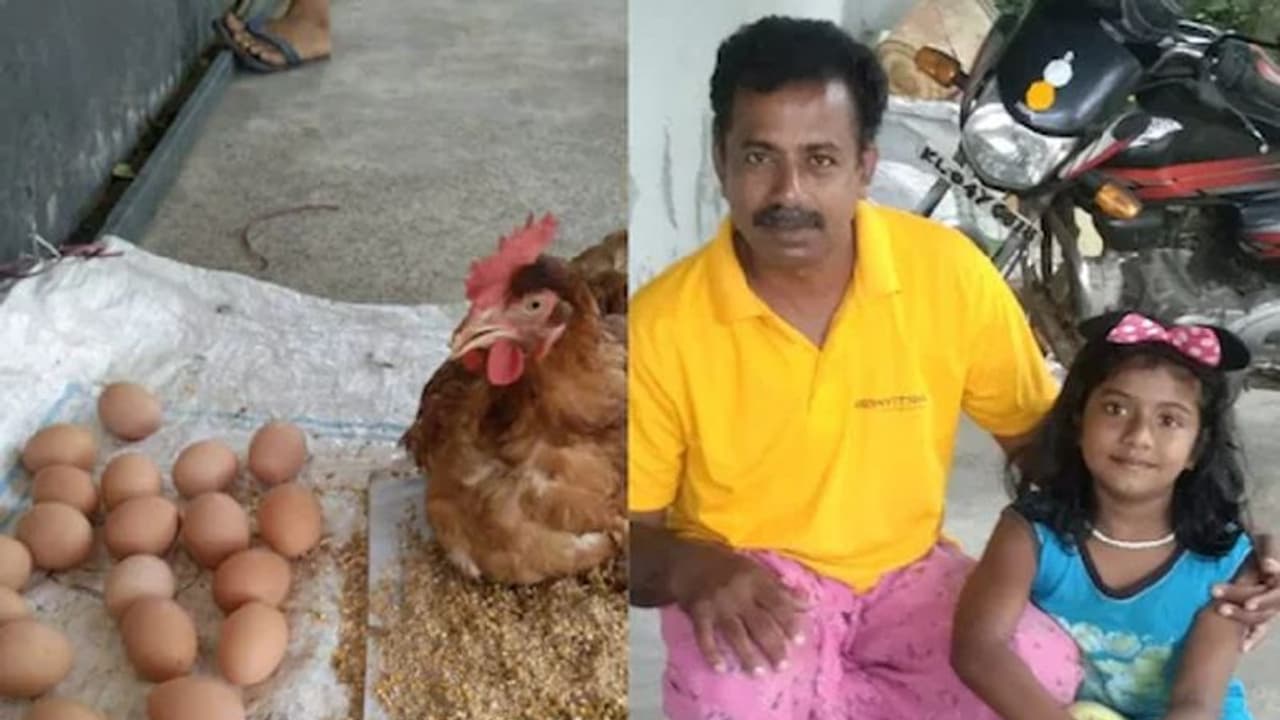 6 ಗಂಟೆಯಲ್ಲಿ 24 ಮೊಟ್ಟೆ ಇಟ್ಟ ಕೇರಳದ ಕೋಳಿ