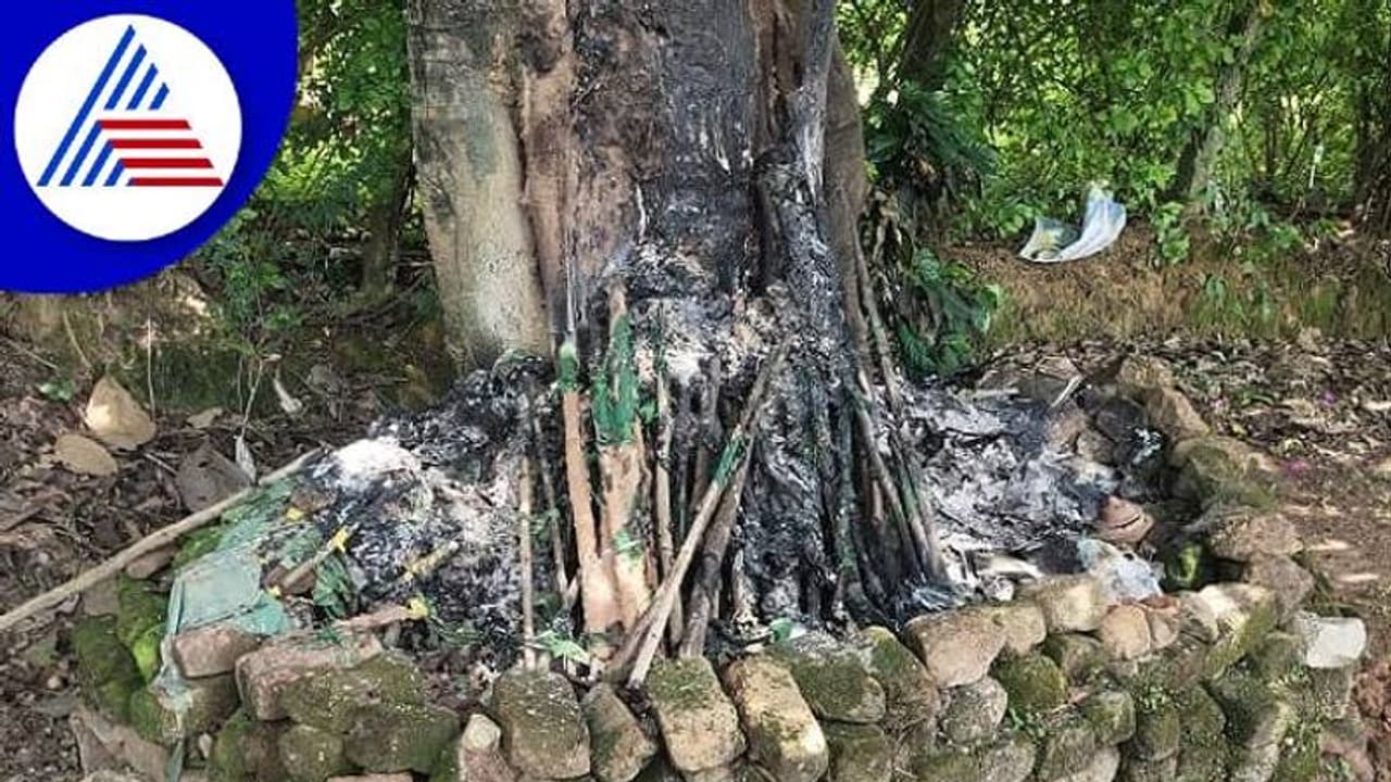 ಮುಸ್ಲಿಂರು ಪೂಜಿಸುತ್ತಿದ್ದ ದೇವರ ಕಟ್ಟೆಗೆ ಬೆಂಕಿ ಇಟ್ಟ ದುಷ್ಕರ್ಮಿಗಳು: ಮತ್ತೊಂದು ಧರ್ಮ ದಂಗಲ್ ಶುರು..? ಮುಸ್ಲಿಂರು ಪೂಜಿಸುತ್ತಿದ್ದ ದೇವರ ಕಟ್ಟೆಗೆ ಬೆಂಕಿ ಇಟ್ಟ ದುಷ್ಕರ್ಮಿಗಳು: ಮತ್ತೊಂದು ಧರ್ಮ ದಂಗಲ್ ಶುರು..?