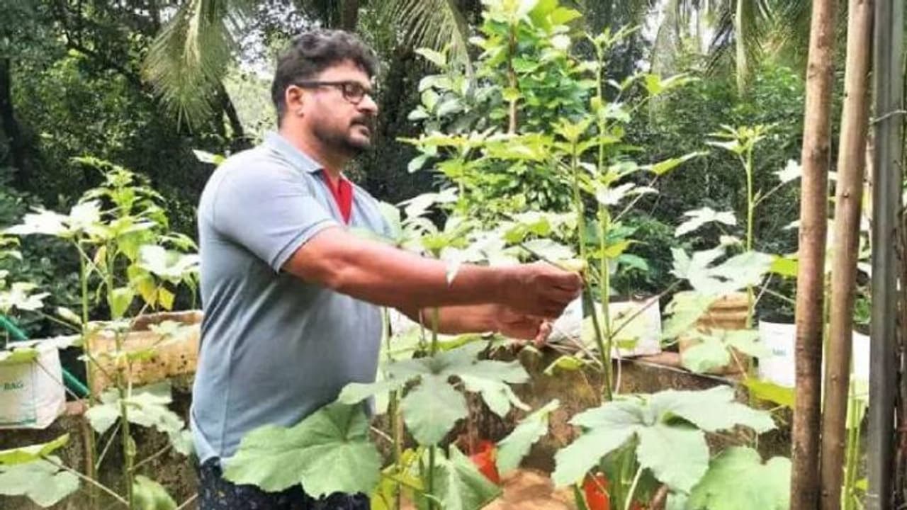 പഴയ ഹെല്മെറ്റ്, ഫ്രിഡ്ജിന്റെ ട്രേ, തെര്മോക്കോള് പെട്ടികള് എന്തുമാകട്ടെ: രാമകൃഷ്ണന് അതില് കൃഷിയിറക്കും പഴയ ഹെല്മെറ്റ്, ഫ്രിഡ്ജിന്റെ ട്രേ, തെര്മോക്കോള് പെട്ടികള് എന്തുമാകട്ടെ: രാമകൃഷ്ണന് അതില് കൃഷിയിറക്കും